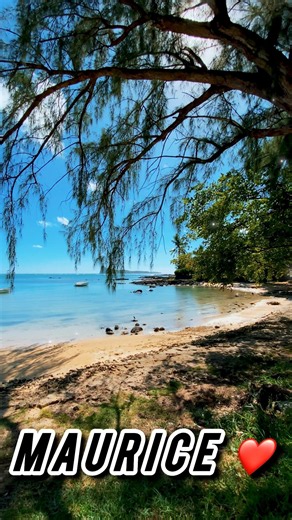 Everyone Talks About Mauritius… But Not Enough About This Beach 🤫🌊🇲🇺”