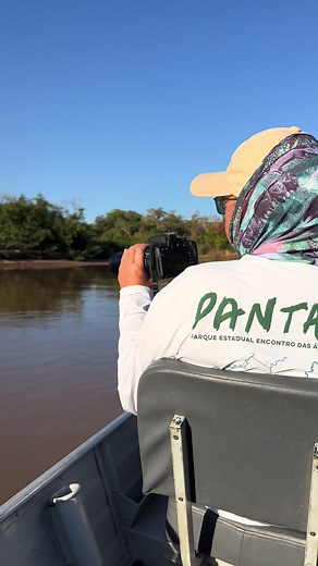 Observar uma onça-pintada em seu habitat natural é uma experiência única e transformadora! Aqui, no Parque Estadual do Encontro das Águas, cada visita contribui para a preservação desse ecossistema incrível. O ecoturismo desempenha um papel crucial na conservação, gerando recursos para proteger a fauna e a flora do Pantanal e promovendo o respeito pela natureza. Venha viver essa experiência conosco e faça parte desse movimento de preservação! 🌿🐆 🌎 #Pantanal #Ecoturismo #Conservação #Jaguar #N
