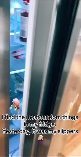 Funny Kids and the Hilarious Refrigerator Moments