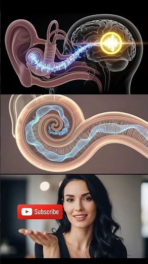 how we hear through ear 👂|| #science #biology