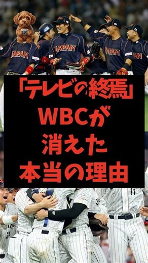 "The End of Television": The Real Reason WBC Disappeared