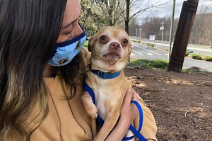 Family’s brutally honest adoption ad for ‘demonic’ dog makes pup an internet sensation