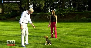 Gov. Murphy among those who adopted rescued beagles