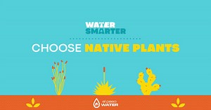 25K views · 128 reactions | El Paso Water has tips to help you save water and lower your monthly bill. Learn how to reduce your indoor and outdoor water use. Water Smarter! | El Paso Water | Facebook