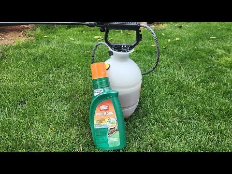 How To Mix Ortho Weed Killer - DIY Lawn Guy
