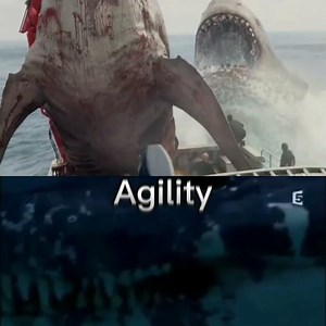 Megalodon vs Predator x the final showdown