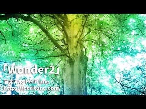 [Free Royalty-Free BGM] Mystical Ethnic Music “Wonder2”