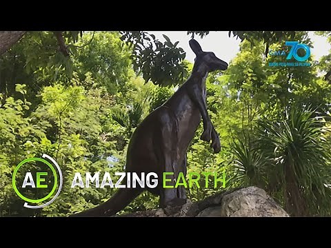 Amazing Earth: The mysterious "Sigbin" of Cebu