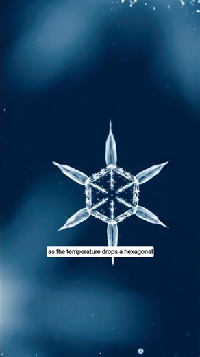 Snowflake Crystal Formation Perfect Ice Geometry best shorts