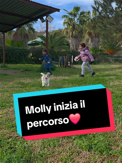 prima lezione di puppy classe per Molly ❤️🔥💥