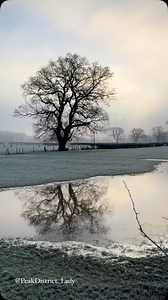 22K views · 1K reactions | Waving Goodbye February .. you went like...