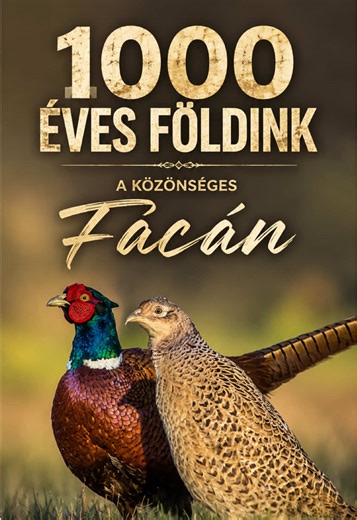 1000 éves földink, a közönséges fácán! #ezállati #fyp #tik_tok #viral #fácán