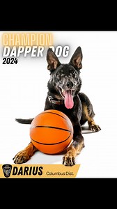 14K views · 258 reactions | Congratulations to our champion, 2024 Dapper Dog K9 Darius! Throughout this Dapper Dog Tournament, Darius received a total of 1,673 votes and emerged as “top dog” after a nail-biter of a final match, decided by just 10 votes. Thanks to everyone who participated in this year’s voting madness! #OSHPDapperDog2024 | Ohio State Highway Patrol | Facebook