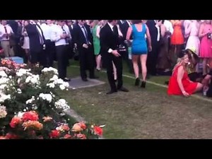 Drunken Melbourne Cup brawling