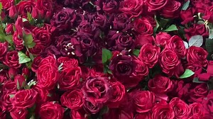 1.1K views · 149 reactions | Venez découvrir toutes les nouveautés à Orca #VotreSantéAvantTout #NonALaPropagationDuCovid19 #OrcaDéco_LartDeVivre +243 858000008 +243 999997710 | Orca kinshasa | Facebook