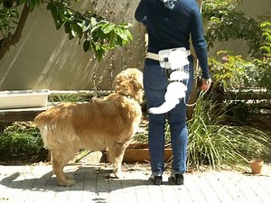 Animatronic Tail by Circuito.io