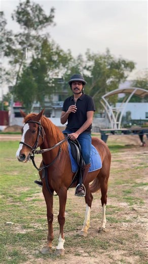 Explore the Thrills of Sports Riding