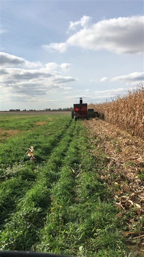 23K views · 277 reactions | #johndeere #cornpicker #3rowheader #agriculture #farming #farmlife | Homestead | Facebook