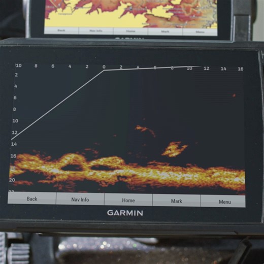 2.6M views · 1.3K reactions | The latest in LiveScope technology, the LiveScope Plus System offers improved resolution, reduced noise, clearer images and better target separation. | Garmin Marine | Facebook