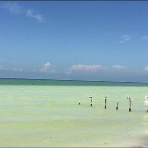 137K views · 43 reactions | Cancún on Reels | Facebook