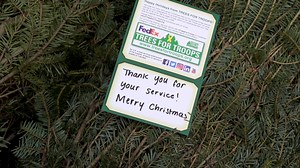 Christmas tree farm gives back to veterans as part of "Trees for Troops" program