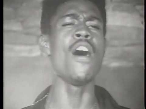 Fireflight White Horse