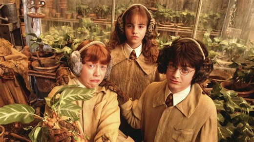 Harry Potter Actor Reveals The Surprising Way He Landed His Role In HBO’s Upcoming Series