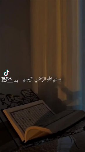 Mohamed Selmy على TikTok