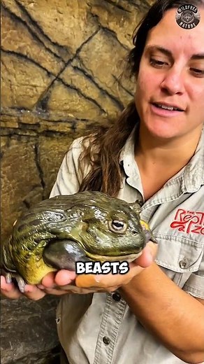 The Frog That Eats EVERYTHING 😳🐸