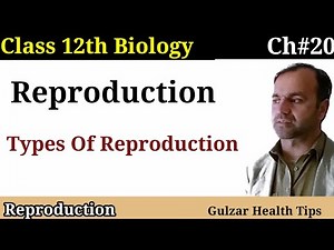 Reproduction | Introduction to Reproduction | Types of reproduction | Class 12 Biology.