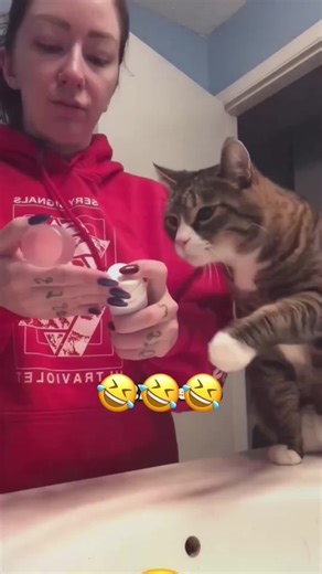 “Talking Pets Compilation.” #voiceover #petsoftiktok #dogsoftiktok #catsoftiktok #animals