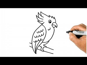 How to DRAW A COCKATOO Easy and Simple Drawing
