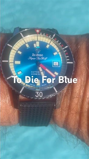 Zodiac Super Sea Wolf with To Die For Blue Dial
