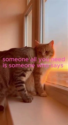 "Heart-Touching Cat Moment 😿❤️ | When Friends Never Leave You"