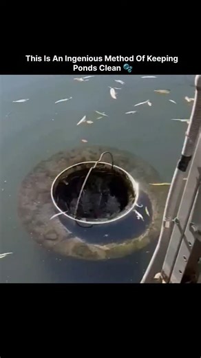 World_War on Instagram: "The device shown is a floating trash skimmer, also known as an aquatic surface cleaner or seabin. It acts like an automated vacuum for the water's surface, collecting floating debris such as leaves and plastic waste. How It Works Mechanism: The device uses a pump to create a continuous flow of water just below the surface into a floating inner basket or bin. This forms a gentle, continuous waterfall effect that pulls nearby floating debris towards and into the bin. Debri