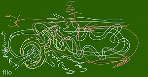 Draw a labelled diagram of nephron and write its functioning. A... | Filo