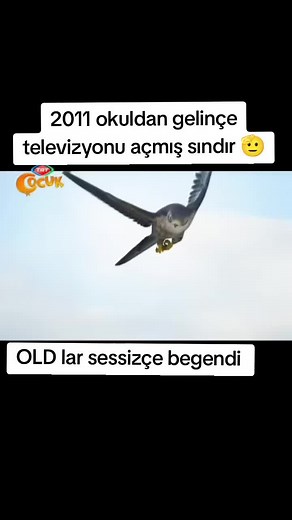 Eski Reklamları Hatırlıyor Musunuz?