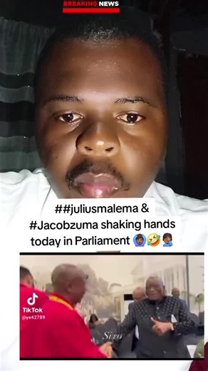 Julius Malema and Jacob Zuma Shake Hands in Parliament