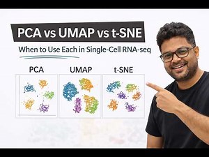 PCA vs UMAP vs t-SNE: When to Use Each in Single-Cell RNA-seq | Seurat Tutorial