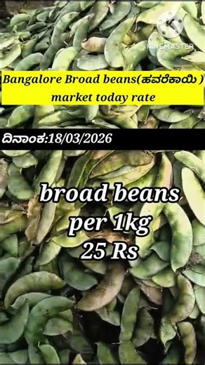 Bangalore broad beans market today rate update/18/03/2026
