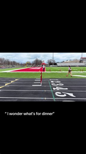 Hurdle Race Satire: A Lighthearted Take on Track Events