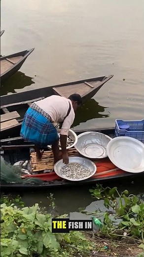 Catch And Release Done Right