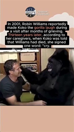 The Man Who Made a Grieving Gorilla Laugh