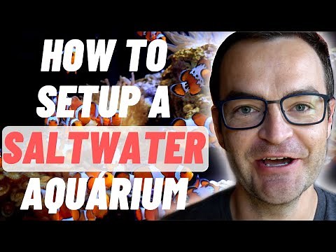 How To Setup A Saltwater Aquarium // Build A Tropical Reef Tank // New Step By Step For Beginners