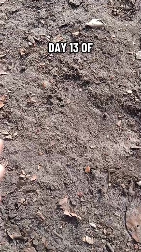 Day 14: Spoon Digging Towards Earthcore