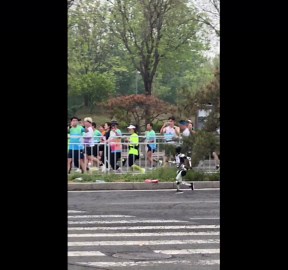 Robot joins race in Beijing