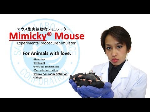 Mimicky® Mouseの使用例 腹腔内投与