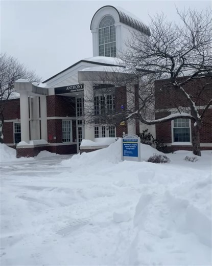 11 reactions | Western New England University on Reels | Facebook