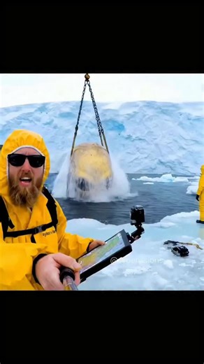 Syber Syber on Instagram: "Buto ki duniya"