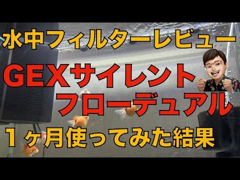 【レビュー】水中フィルターGEXサイレントフローデュアルを１ヶ月使ってわかったことを紹介します